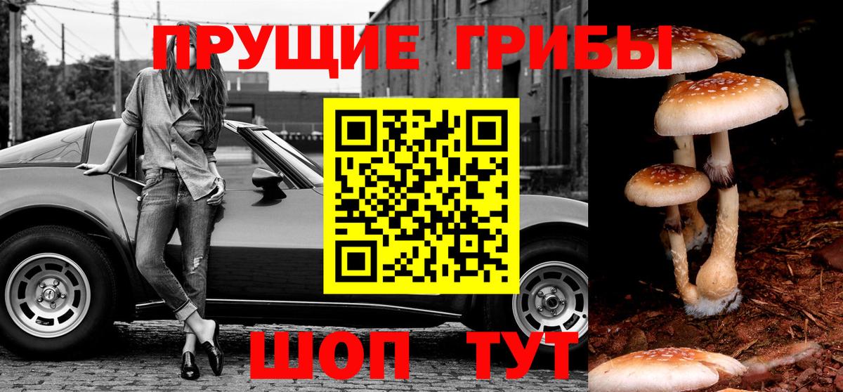 Галлюциногенные грибы Psilocybe  Вход с VPN  Обь  Галлюциногенные грибы мицелий 